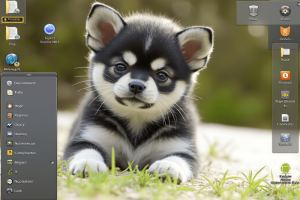 Puppy Linux Operating System